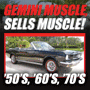 Gemini Muscle