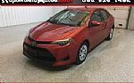 2019 Corolla Thumbnail 1
