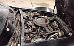 1981 CORVETTE Thumbnail 9