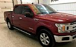 2019 F-150 Thumbnail 2