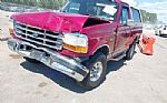 1995 Bronco Thumbnail 2