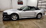 2001 Mustang Thumbnail 5