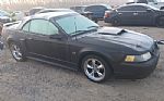 2001 MUSTANG Thumbnail 2