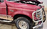 1995 F-150 4X4 Thumbnail 16