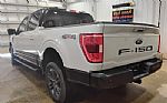 2023 F-150 Thumbnail 6