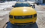 2005 Mustang Thumbnail 5