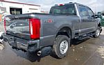 2024 F-250 Thumbnail 6