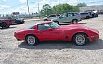 1981 Corvette Thumbnail 2