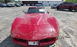 1981 Corvette Thumbnail 7