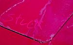 1981 Corvette Thumbnail 14