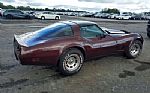 1981 Corvette Thumbnail 2