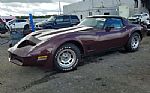 1981 Corvette Thumbnail 3