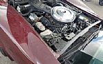 1981 Corvette Thumbnail 7