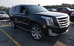 2019 Escalade Thumbnail 1