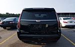 2019 Escalade Thumbnail 8