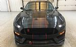 2019 Mustang Thumbnail 8