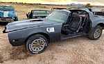 1978 Trans Am Thumbnail 1