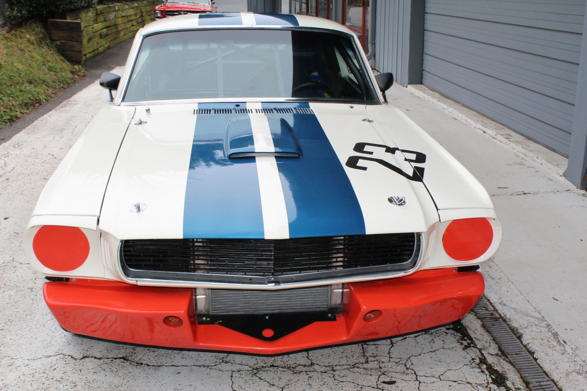 1965 Shelby GT350 Image