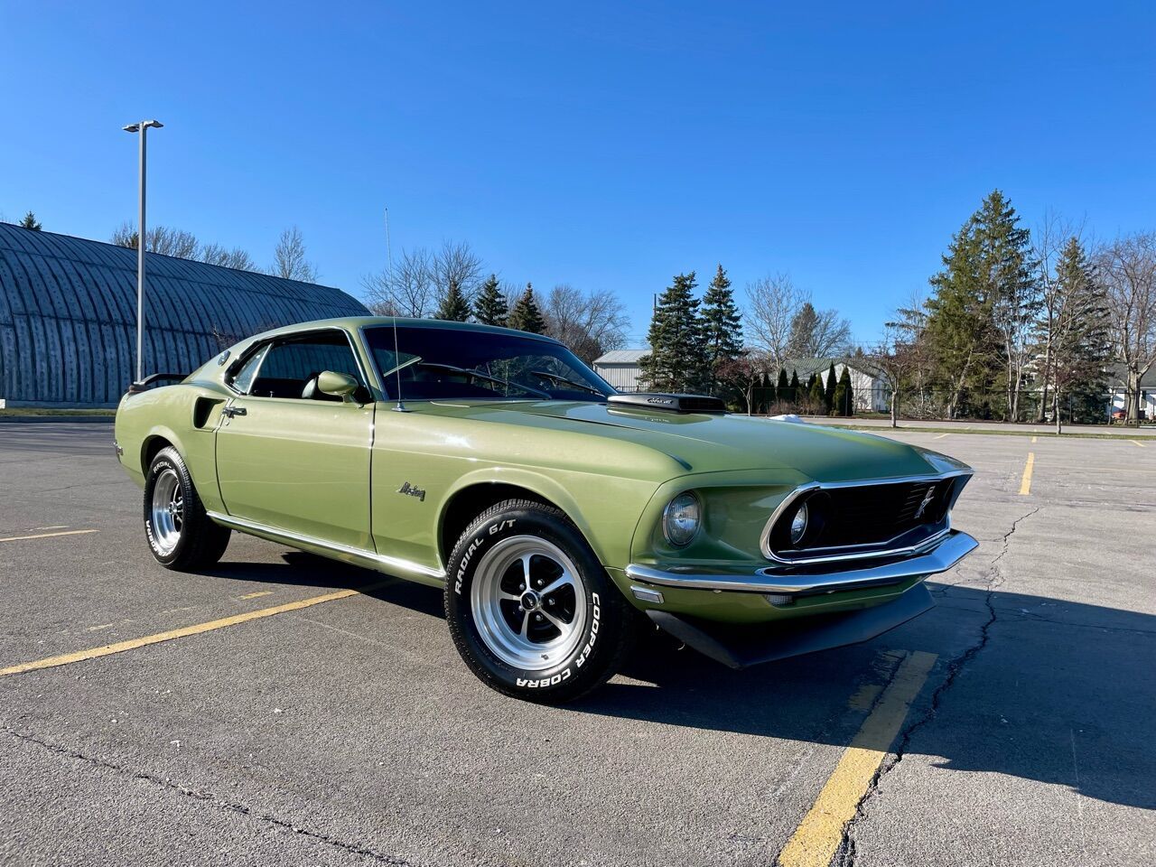 1969 Mustang Image