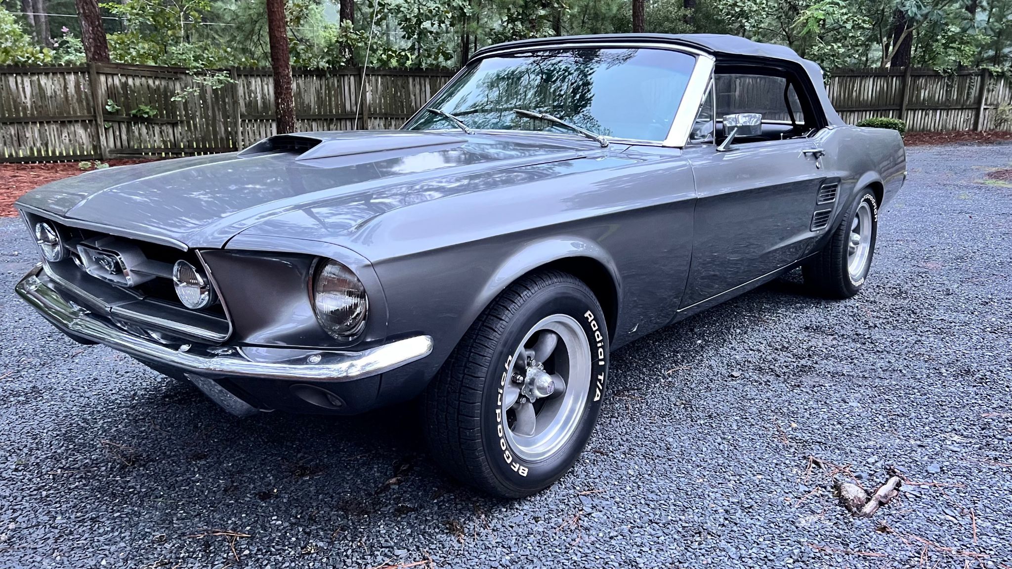 1967 Mustang Image