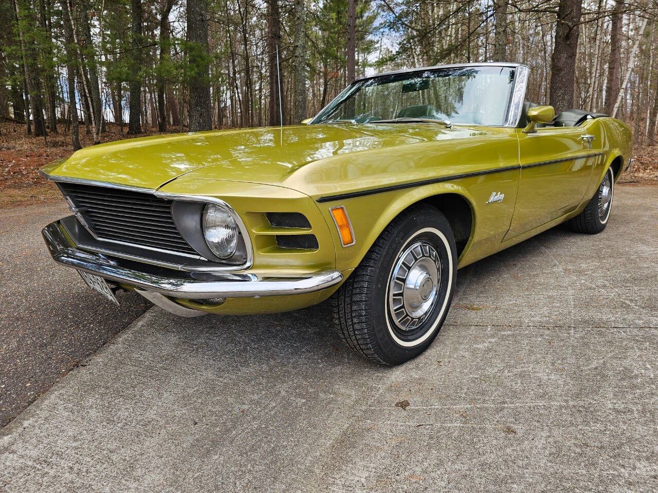 1970 Mustang Image