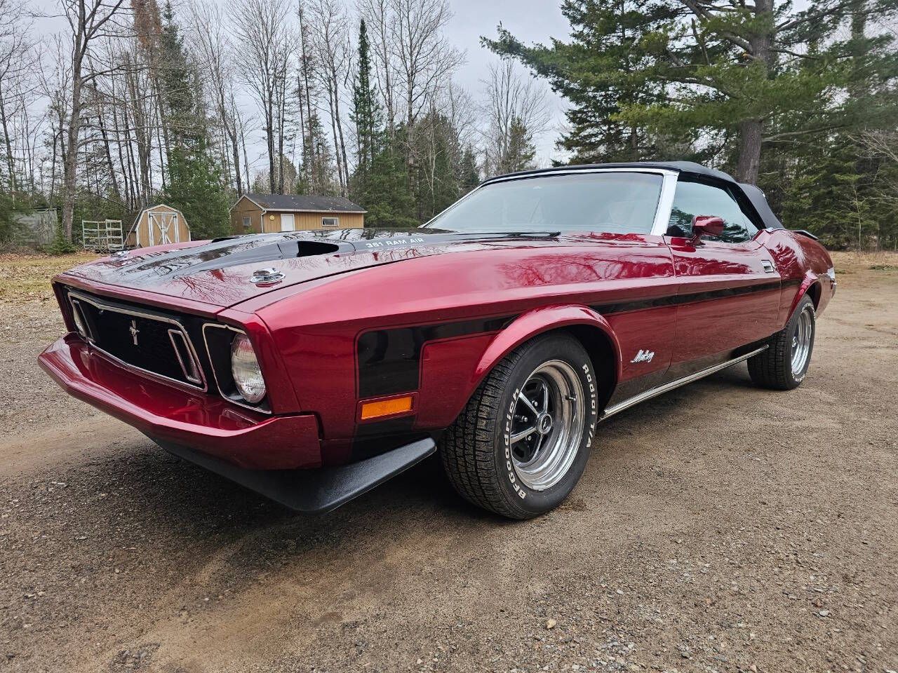 1973 Mustang Image
