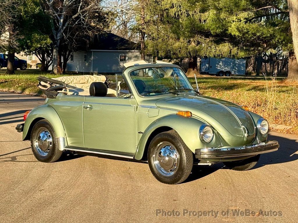 1979 Beetle Image