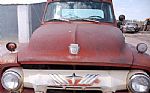 1954 F250 Thumbnail 5