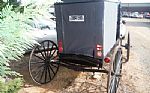 2000 Horse Buggy Thumbnail 4