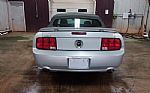 2006 MUSTANG Thumbnail 14