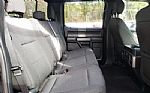 2019 F-150 Thumbnail 9