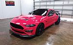 2019 MUSTANG Thumbnail 2