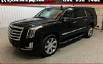2020 Escalade Thumbnail 1