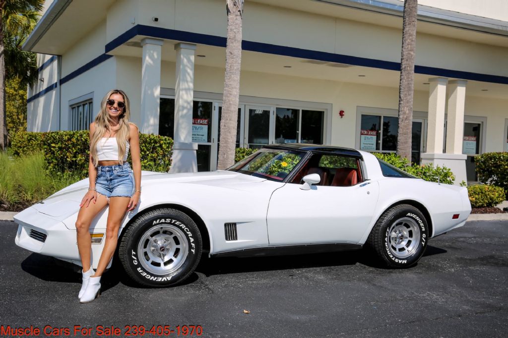 1981 Corvette Image