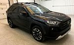 2019 RAV4 Thumbnail 2
