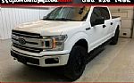 2019 F-150 Thumbnail 1